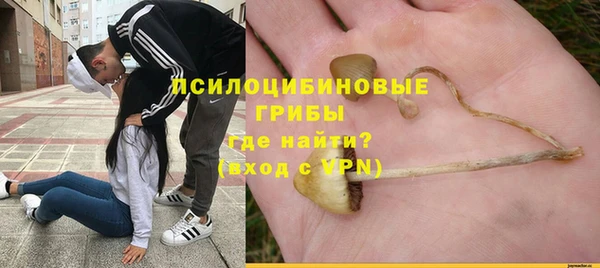 винт Армянск