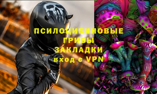 винт Армянск