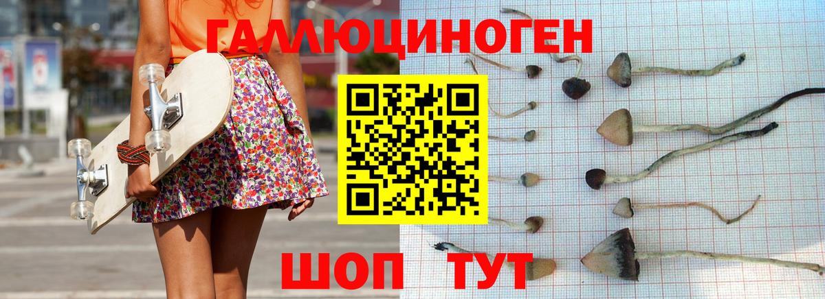 Галлюциногенные грибы мицелий  Вход с VPN  Саранск 